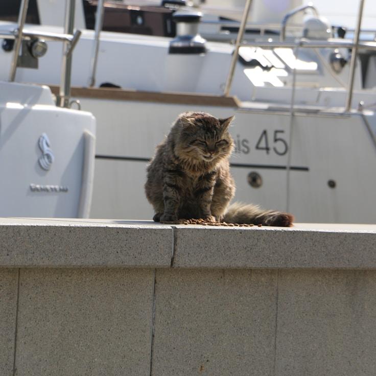 Seafaring adventure